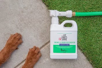 Remove pet urine from concrete