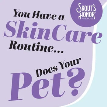 Best Tailored skincare for pets