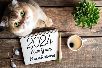 New Year pet resolutions