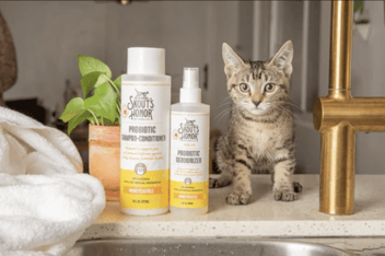 Best cat shampoo