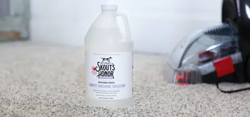 Best pet stain remover for carpet
