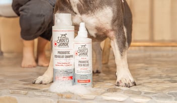 Dog standing in shower with Skout's Honor Itch Relief Bundle