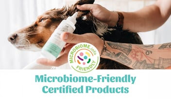 Man spraying Skout's Honor Ear cleaner into dog's ear