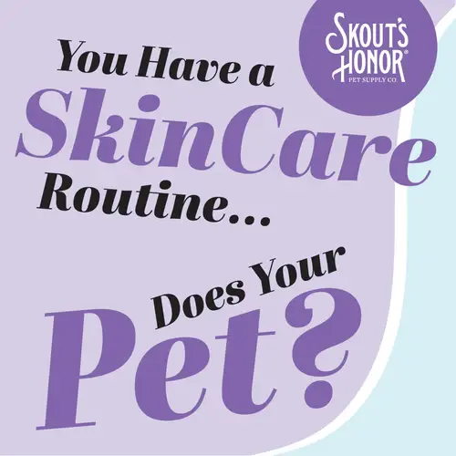 Best Tailored skincare for pets