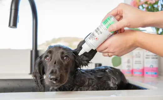 Best ear cleaner for dogs