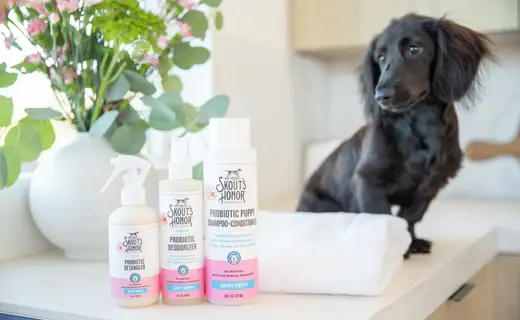 Best dog grooming products