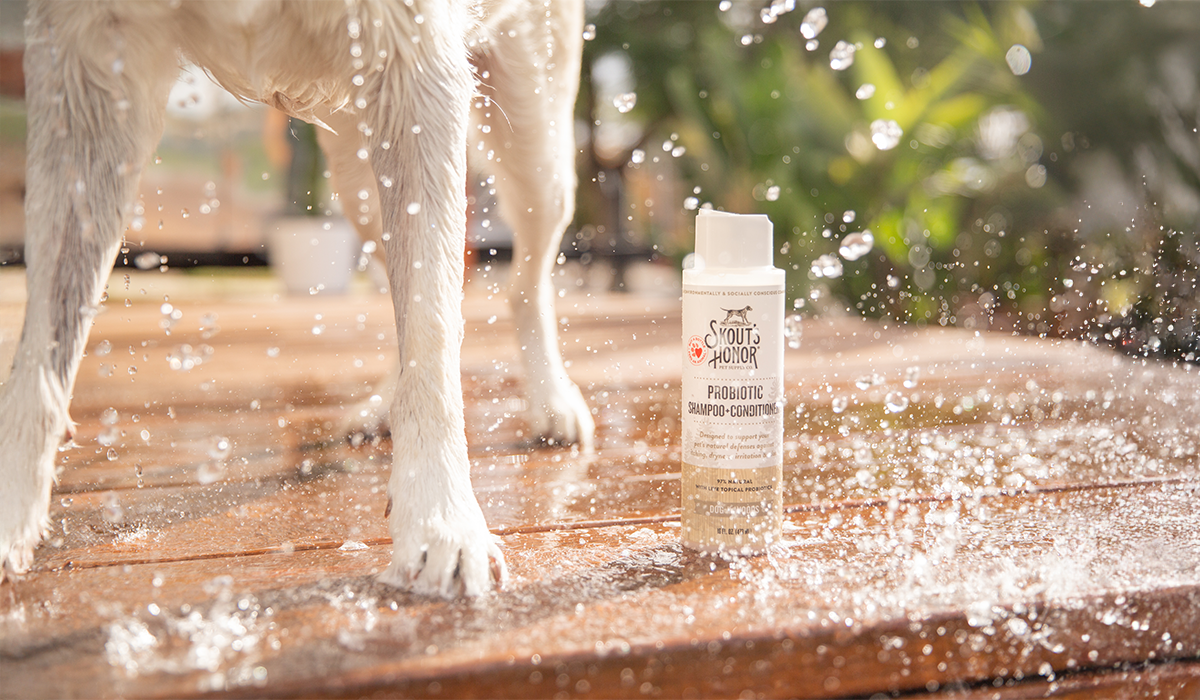 dog bath outside