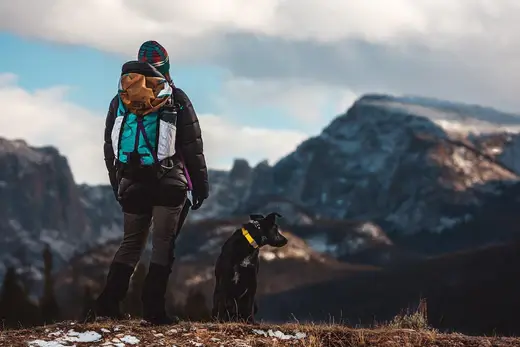 Hiking with your dog