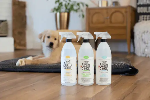 Best Puppy cleaning essentials