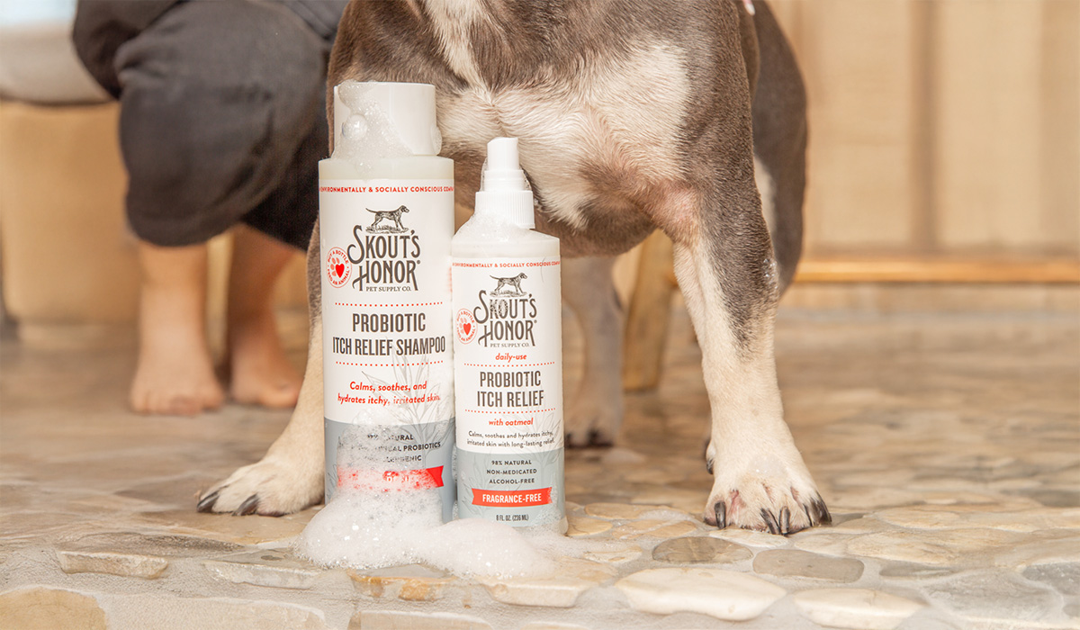 Dog standing in shower with Skout's Honor Itch Relief Bundle