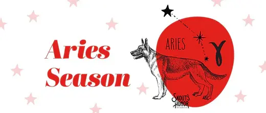 Aries season pet activities