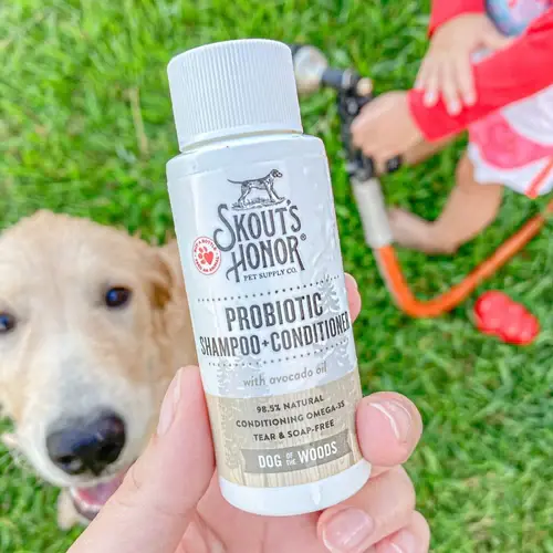 Best dog shampoo